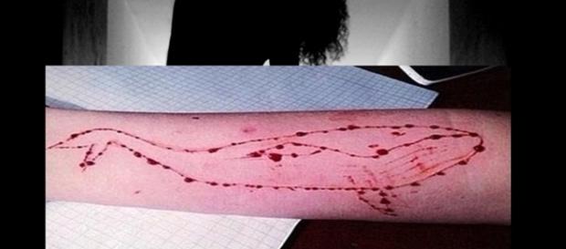 Jovens se cortam com faca e lâmina de barbear para desenhar a baleia azul no corpo Jovens se cortam com faca e lâmina de barbear para desenhar a baleia azul no corpo