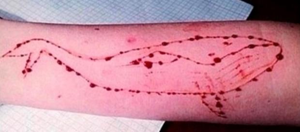 Polícia russa acredita que grupos na rede social VK teriam incitado diversos adolescentes à auto-mutilação e ao suicídio. Polícia russa acredita que grupos na rede social VK teriam incitado diversos adolescentes à auto-mutilação e ao suicídio.