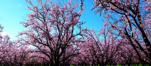 Previsioni meteo aprile 2016: temperature in aumento e bel tempo ... - correttainformazione.it Previsioni meteo aprile 2016: temperature in aumento e bel tempo ... - correttainformazione.it