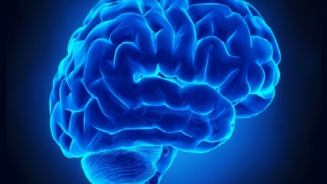 Scoperta l'origine dell'Alzheimer che fa luce sulla patologia