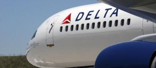 Delta Airlines pilot seen on video strking passenger - thesource.com