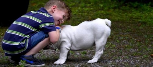 El niño autista que lee cuentos a perros sin hogar - franquiciastiendasdemascotas.com