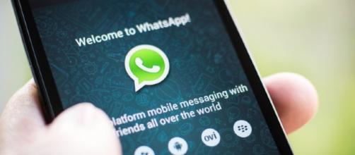 Whatsapp ama le GIF: nuovo aggiornamento converte video e foto ... - macitynet.it