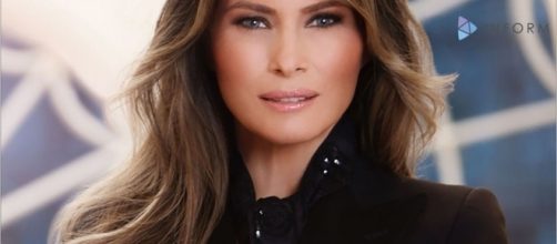 White House unveils official portrait of Melania Trump | TheHill - thehill.com