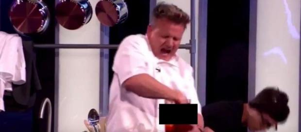 Gordon Ramsay se fait broyer la main dans un mixer pendant un talk show ! Gordon Ramsay se fait broyer la main dans un mixer pendant un talk show !