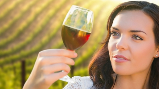 Grazie ai Colli Euganei abbiamo superato la Francia! - Colli Euganei - euganeamente.it