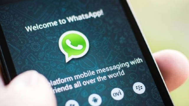 Whatsapp ama le GIF: nuovo aggiornamento converte video e foto ... - macitynet.it