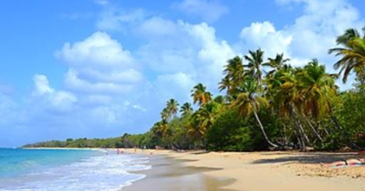 Martinique Petit pays, je t'aime beaucoup Martinique Petit pays, je t'aime beaucoup