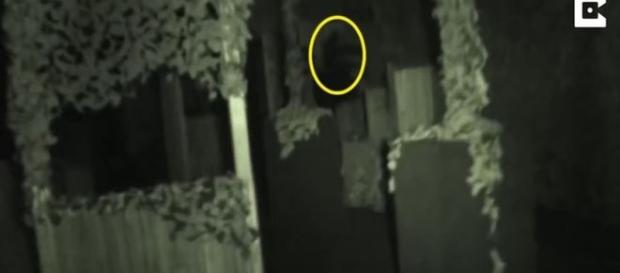 Investigadores dizem observar suposta aparição fantasmagórica (Caters TV) Investigadores dizem observar suposta aparição fantasmagórica (Caters TV)