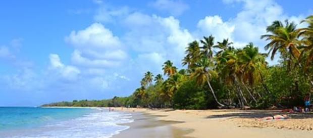 Paysage de Martinique : je t'aime beaucoup Paysage de Martinique : je t'aime beaucoup
