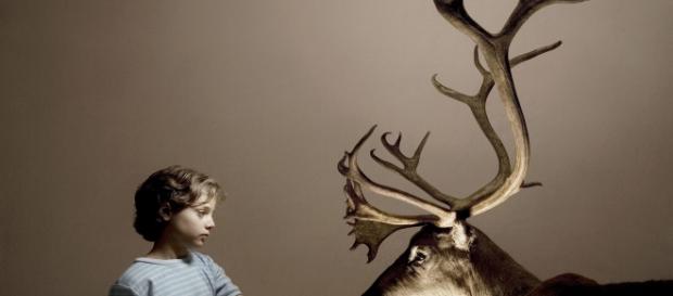 - Reed Young / courtesy Fabrica - Reed Young / courtesy Fabrica