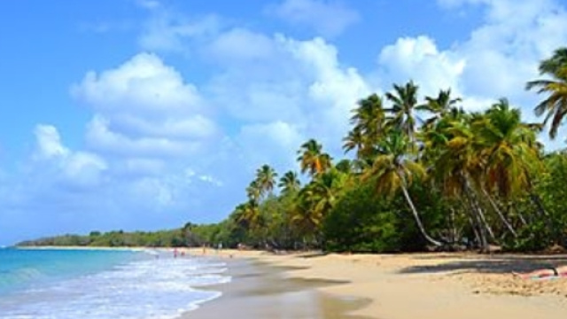 Paysage de Martinique : je t'aime beaucoup