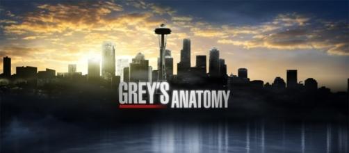 Grey's Anatomy tv show logo image via Flickr.com