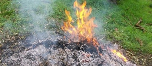 Bruciare sfalci e residui di potatura, arrivano nuove regole