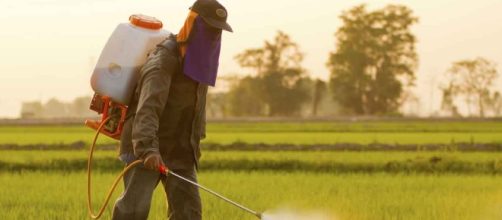 New Studies Reveal Damaging Effects of Glyphosate - mercola.com