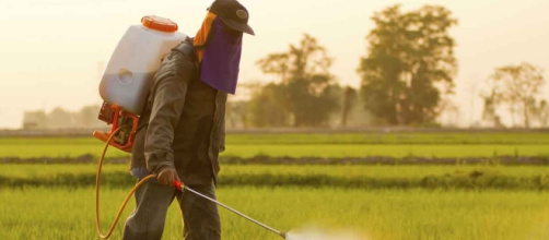 New Studies Reveal Damaging Effects of Glyphosate - mercola.com