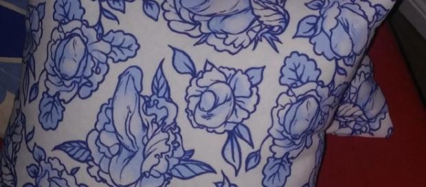 Almofadas têm desenhos de órgão genital masculino Almofadas têm desenhos de órgão genital masculino