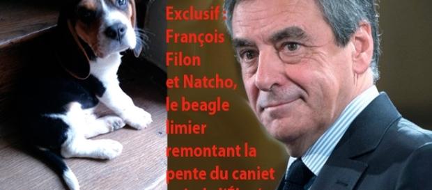 En exclusivité (avec Le Gorafi), nous révélons le nom du beagle angevin chargé par François Fillon de remonter la piste du "cabinet noir" de l'Élysée En exclusivité (avec Le Gorafi), nous révélons le nom du beagle angevin chargé par François Fillon de remonter la piste du "cabinet noir" de l'Élysée