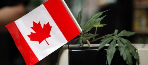 Canada Set to Legalize Marijuana in 2018 - SIGNAL - signalng.com