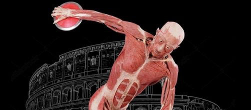 Mostra ‘Real Bodies’ a Roma fino al 2 luglio 2017
