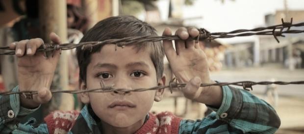 ¿Cuántos bebés, niños y adultos inocentes mueren cada día? ¿Cuántos bebés, niños y adultos inocentes mueren cada día?