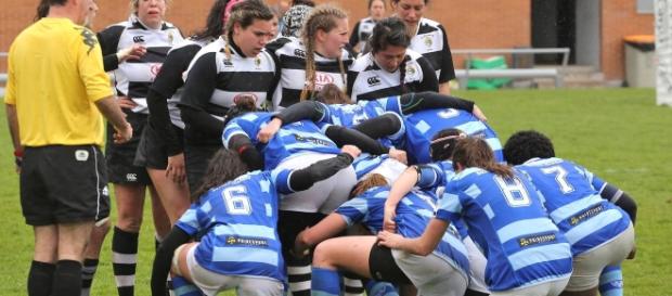El Salvador cayó ante Cisneros por 12-7 en la final de la pasada temporada. Fotografía Domingo Torres. El Salvador cayó ante Cisneros por 12-7 en la final de la pasada temporada. Fotografía Domingo Torres.