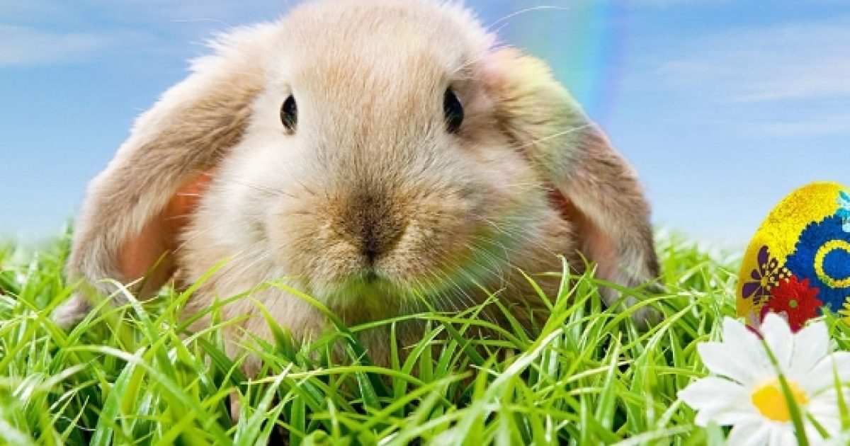 Renaming Easter is insulting to Christians