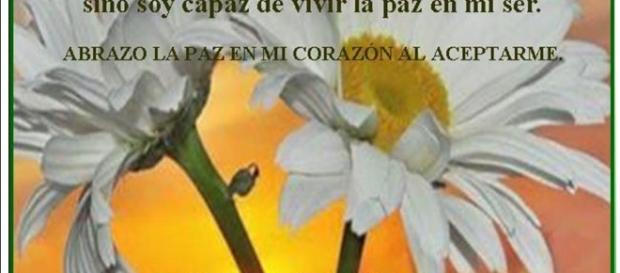 Gotitas de Salud | UruPaiti - urupaiti.com Gotitas de Salud | UruPaiti - urupaiti.com