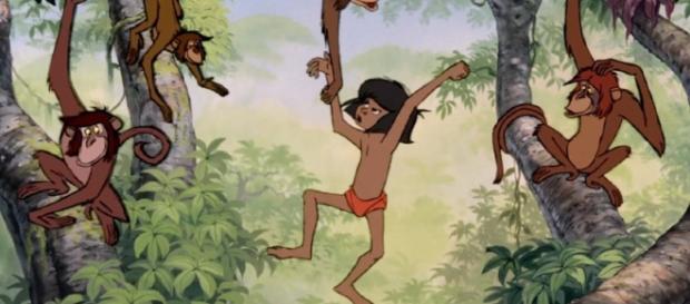Mowgli: del cuento a la realidad. Existe y vive en India Mowgli: del cuento a la realidad. Existe y vive en India