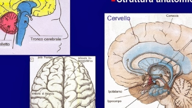 Realizzata prima sinapsi artificiale capace di apprendere - rssing.com