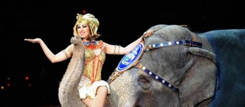 Ringling Bros. circus will close after final May shows | 89.3 KPCC - scpr.org