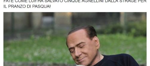 Berlusconi vegano e difensore degli animali: l'allattamento di un agnello