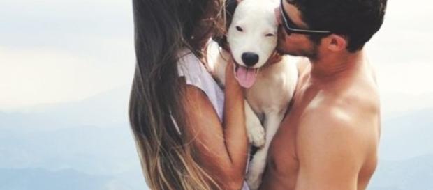 Algumas coisas que só casais muito íntimos Algumas coisas que só casais muito íntimos