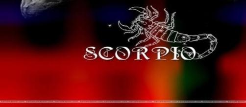 Scorpio Zodiac Sign Scorpion Graphic - imagesbuddy.com