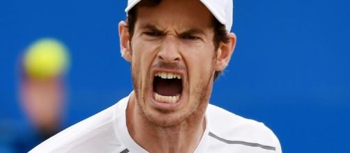 Tennis-Murray loses season opener to Goffin in Abu Dhabi | Zawya ... - zawya.com