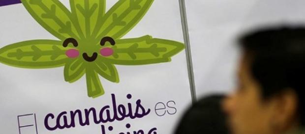 México aprueba uso controlado de cannabis medicinal. México aprueba uso controlado de cannabis medicinal.