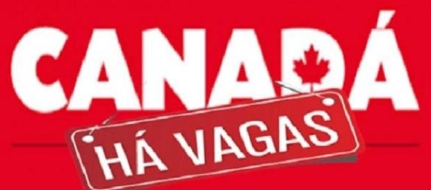 Trabalho no Canadá com processos seletivos em províncias do país Trabalho no Canadá com processos seletivos em províncias do país