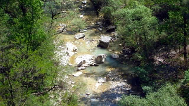 Pescara, scatta selfie e cade nel fiume: morta