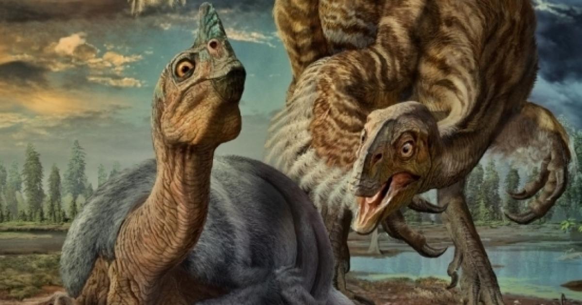 A new dinosaur species has been identified