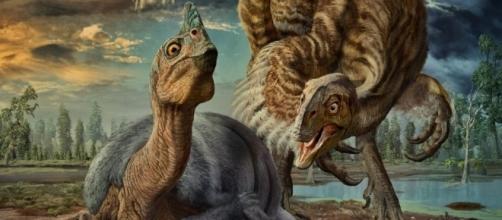 Celebrated 'Baby Louie' Fossil Identified As New Dinosaur Species ... - com.au