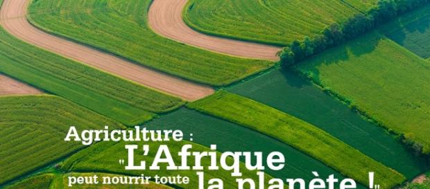 Agriculture : "L'Afrique peut nourrir toute la planète !" - informationssansfrontieres.com Agriculture : "L'Afrique peut nourrir toute la planète !" - informationssansfrontieres.com