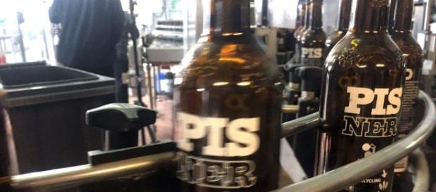 Cevada de cerveja é regada com urina humana Cevada de cerveja é regada com urina humana