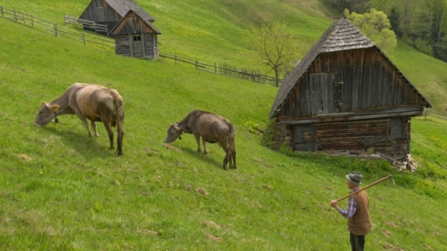 Moieciu de Sus, Roumanie au printemps