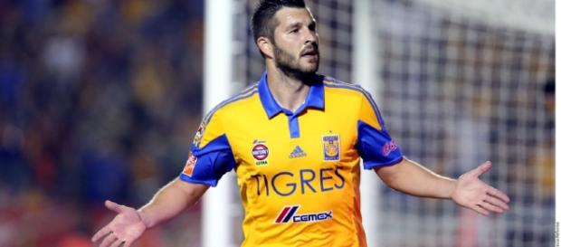 Gignac trollea al hijo de 'Don Rober' | Vanguardia - com.mx Gignac trollea al hijo de 'Don Rober' | Vanguardia - com.mx