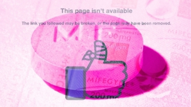 Facebook e il caso della pagina 'Women on Web'.