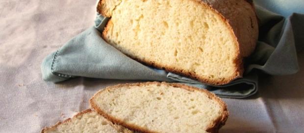 Il Pane Archives - Il chicco di mais - giallozafferano.it Il Pane Archives - Il chicco di mais - giallozafferano.it