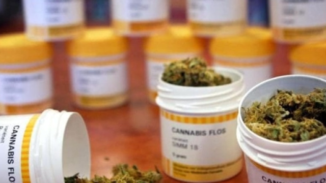 La cannabis farmaceutica ora disponibile nelle Farmacie di Forlì ... - forlitoday.it