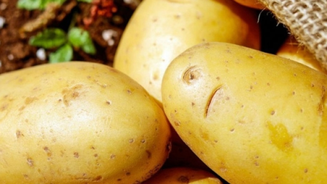 Le patate sono un alimento sano? Proprietà nutrizionali e suggerimenti dalla ricerca scientifica - supereva.it