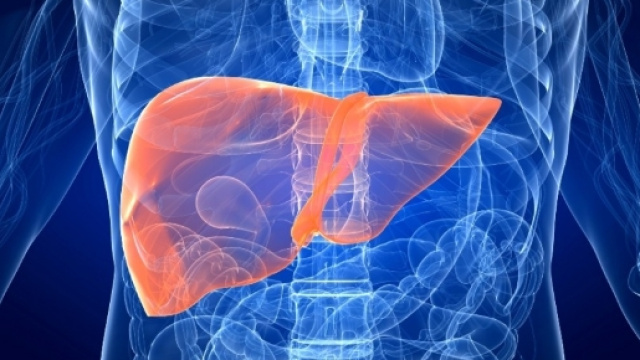 Tumore al fegato: fattori di rischio, sintomi, diagnosi, cura e ... - meteoweb.eu