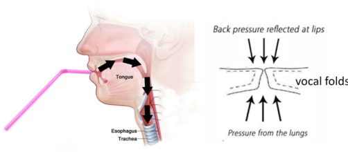 Straw Phonation - VoiceScienceWorks